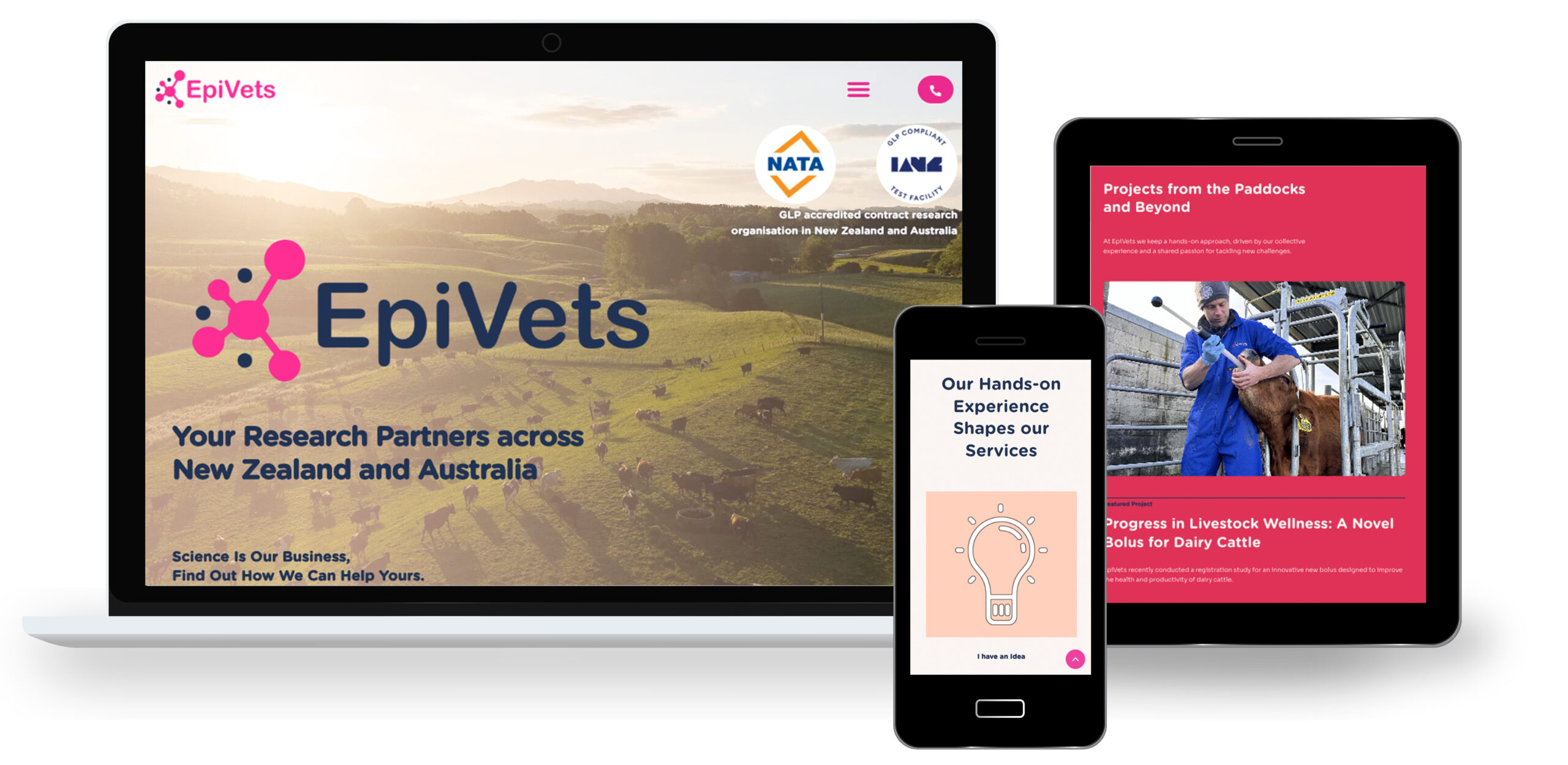 Web mockups. - Epivets